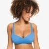 Roxy Love The Sun Ray Bikini Top